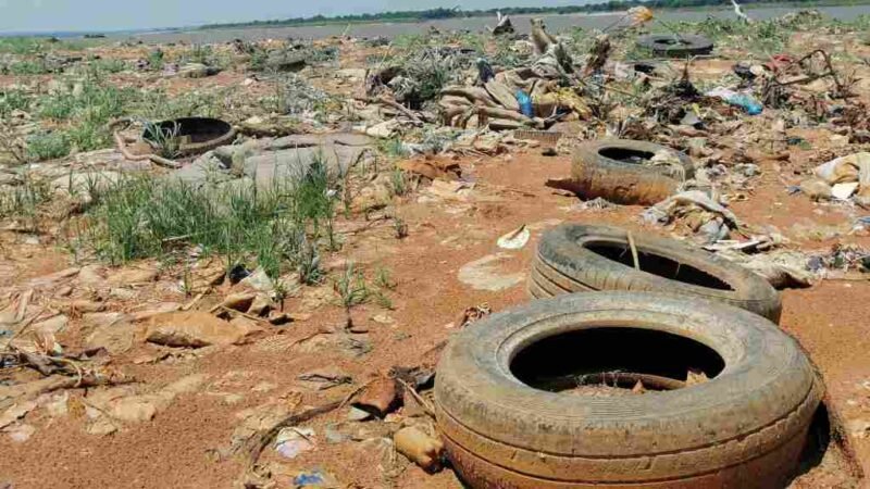 GENERA VERACRUZ 2.1 MILLONES DE NEUMÁTICOS DE DESECHO AL AÑO