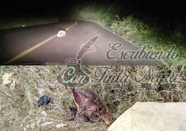 PSICOSIS SE ADUEÑA DE HABITANTES DE LA ZONA