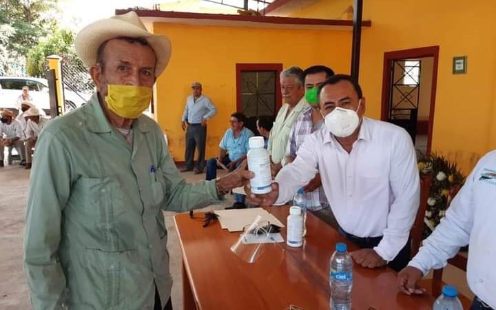 PREVIENEN PLAGAS EN CULTIVOS DE LIMÓN