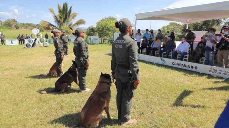PARTICIPAN BINOMIOS CANINOS EN BÚSQUEDA DE RESTOS EN FOSAS