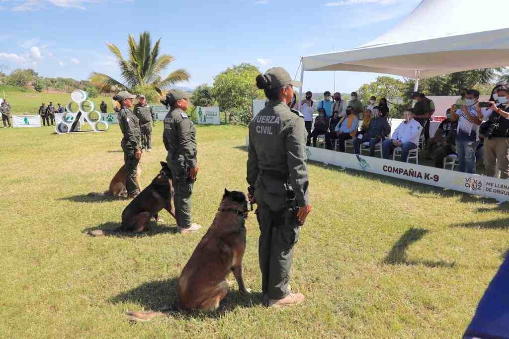 PARTICIPAN BINOMIOS CANINOS EN BÚSQUEDA DE RESTOS EN FOSAS