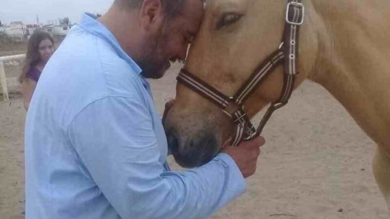 POSTULAN  PROMOTOR DE EQUINOTERAPIA PARA CONDECORACIÓN “MIGUEL HIDALGO”