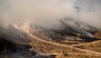 BOLIVIA DECLARA DESASTRE NACIONAL ANTE ENORMES INCENDIOS FORESTALES