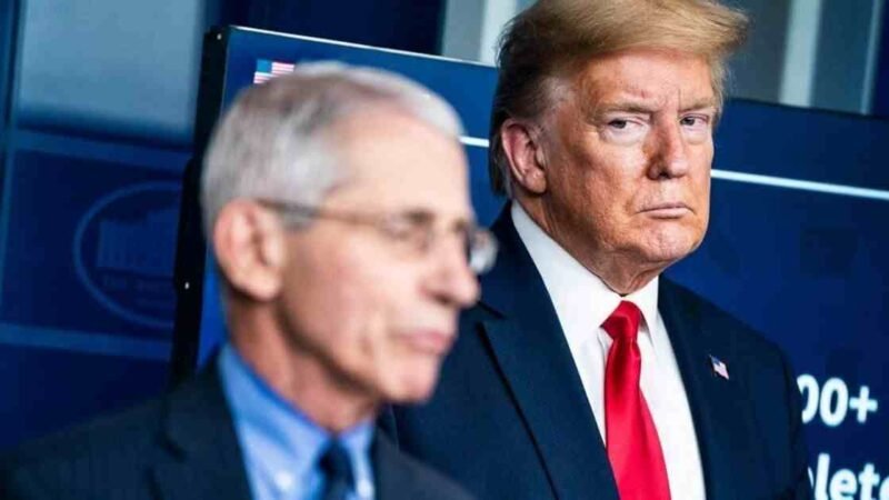 TRUMP LLAMA ‘IDIOTAS’ A SUS EXPERTOS CONTRA COVID-19