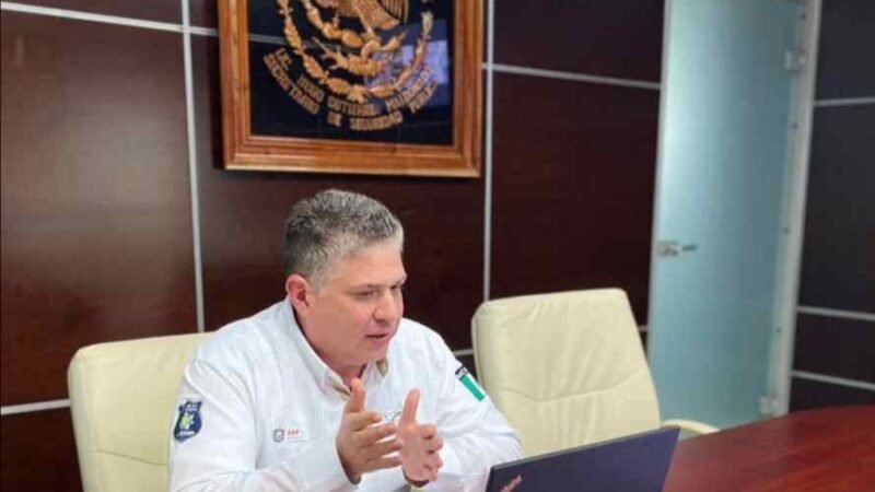 SEGURIDAD PÚBLICA HA DETENIDO A 17 LÍDERES DE GRUPOS CRIMINALES