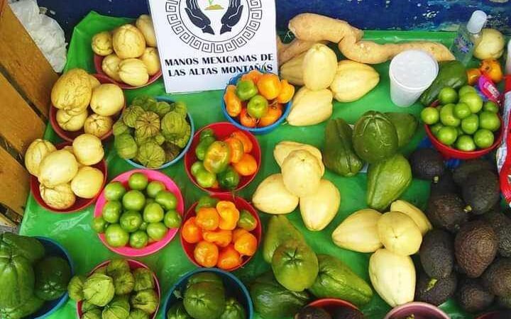 PONEN EN MARCHA PROYECTO DE VENTA DE PRODUCTOS ORGÁNICOS