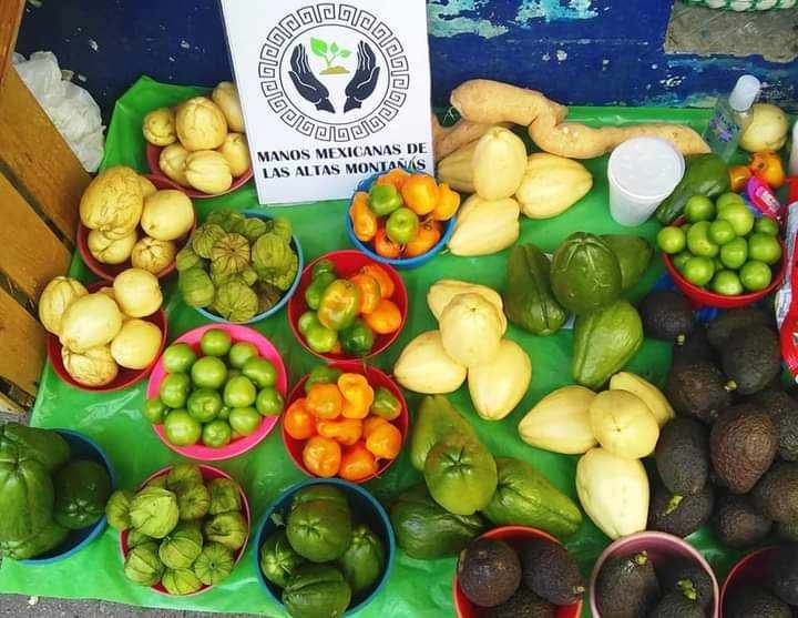 PONEN EN MARCHA PROYECTO DE VENTA DE PRODUCTOS ORGÁNICOS