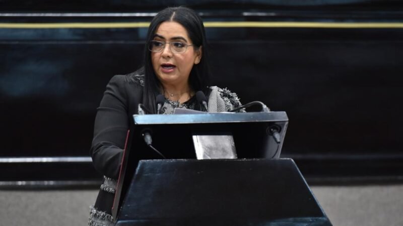 PIDE DIPUTADA FORTALECER INSTITUCIONES MUNICIPALES DE PROTECCIÓN DE LA NIÑEZ