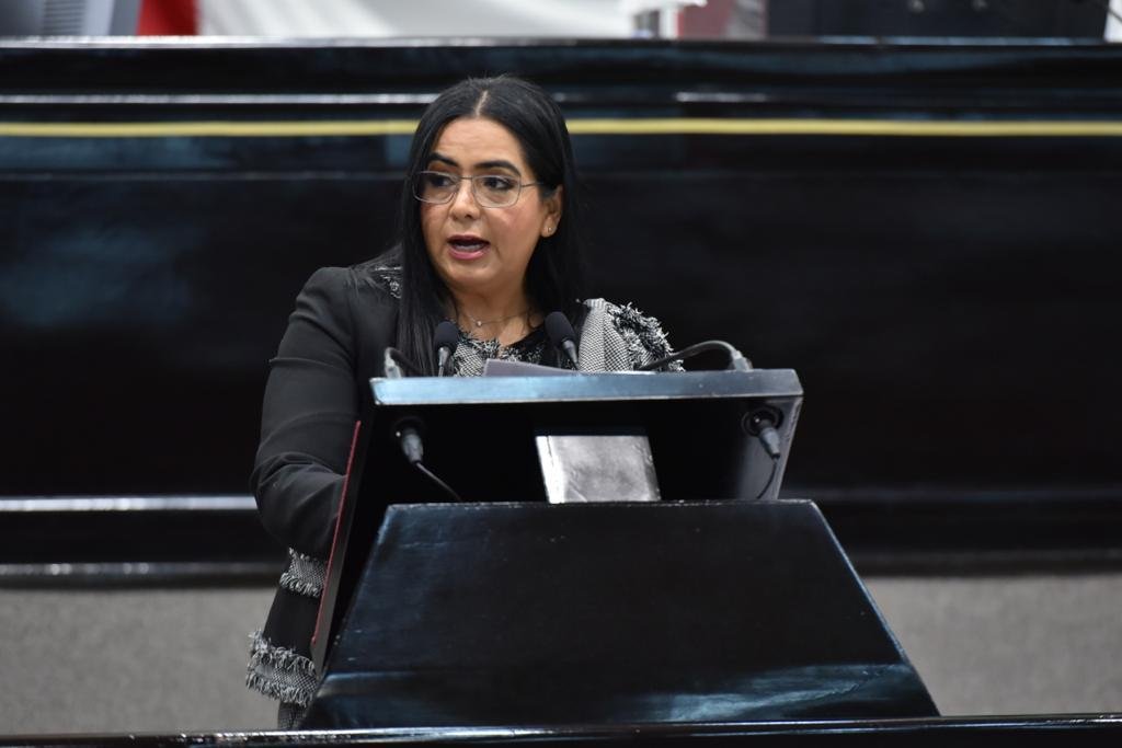 PIDE DIPUTADA FORTALECER INSTITUCIONES MUNICIPALES DE PROTECCIÓN DE LA NIÑEZ