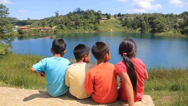 INTOXICACIÓN POR PLOMO EN LA SANGRE EN 1.4 MILLONES DE NIÑOS MEXICANOS