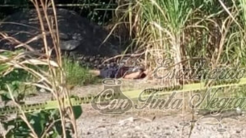 LO ACRIBILLAN EN OMEALCA