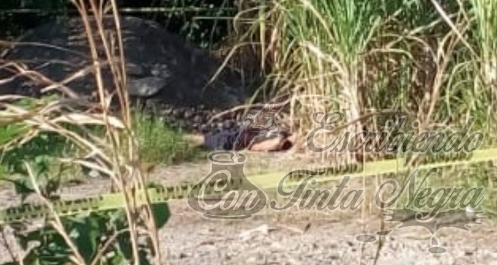 LO ACRIBILLAN EN OMEALCA
