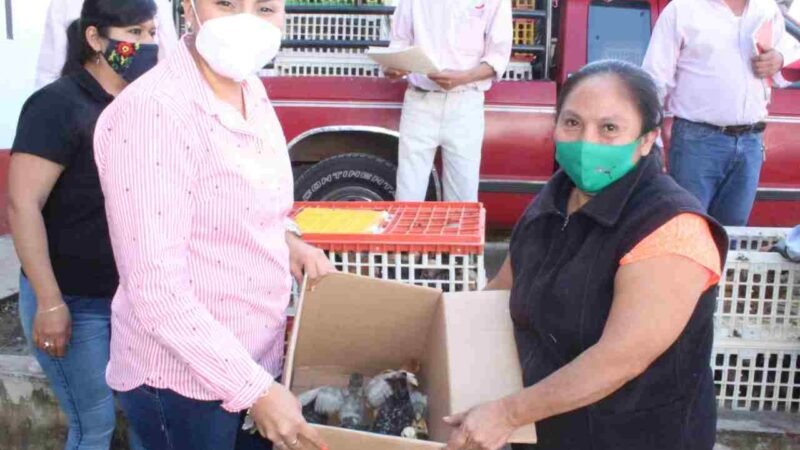 ENTREGAN PROYECTOS PRODUCTIVOS EN HUATUSCO