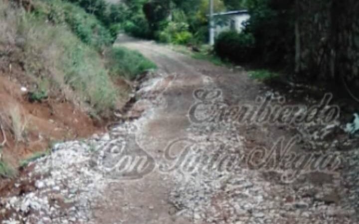 ALCALDESA PREFIERE PROMOVER CANDIDATURA DE SU HIJA QUE TRABAJAR