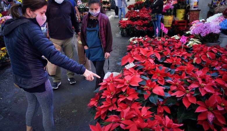 MÉXICO SUMA 103,597 MUERTOS POR COVID