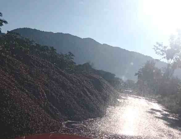 BENEFICIOS DE CAFÉ SIGUEN CONTAMINANDO