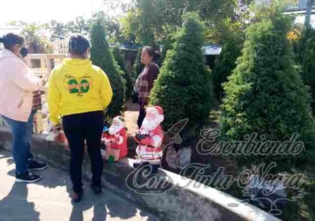 POR LOS SUELOS, VENTA DE PINOS NAVIDEÑOS