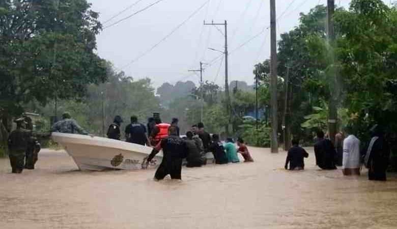 AGUA DULCE, BAJO EL AGUA