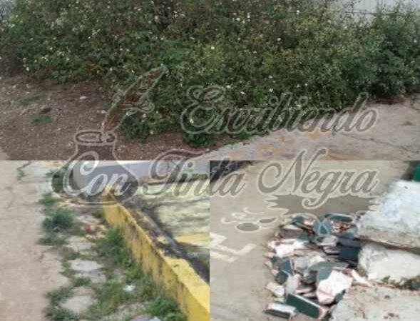 NO LE DAN MANTENIMIENTO A PANTEONES DE HUATUSCO