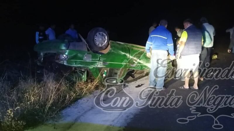 VUELCA TSURU EN TOTUTLA