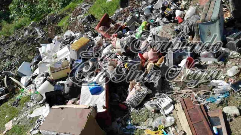 AYUNTAMIENTO DE FORTÍN ARROJA DESECHOS EN PREDIO ALEDAÑO AL PANTEÓN
