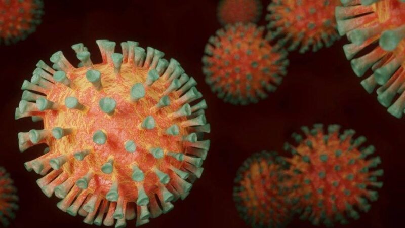 MUTACIÓN DE COVID-19 DETECTADA EN JALISCO PODRÍA SER MEXICANA: ESPECIALISTAS