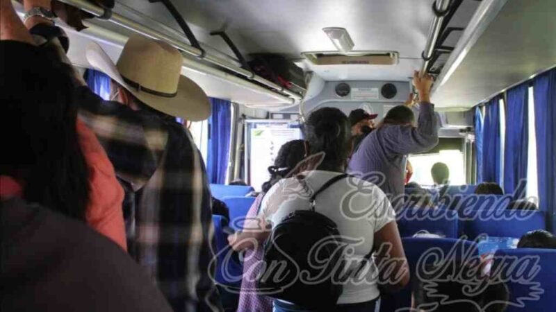 LÍNEA TERRANOVA NO RESPETA ÓRDENES DE TRANSPORTE PÚBLICO