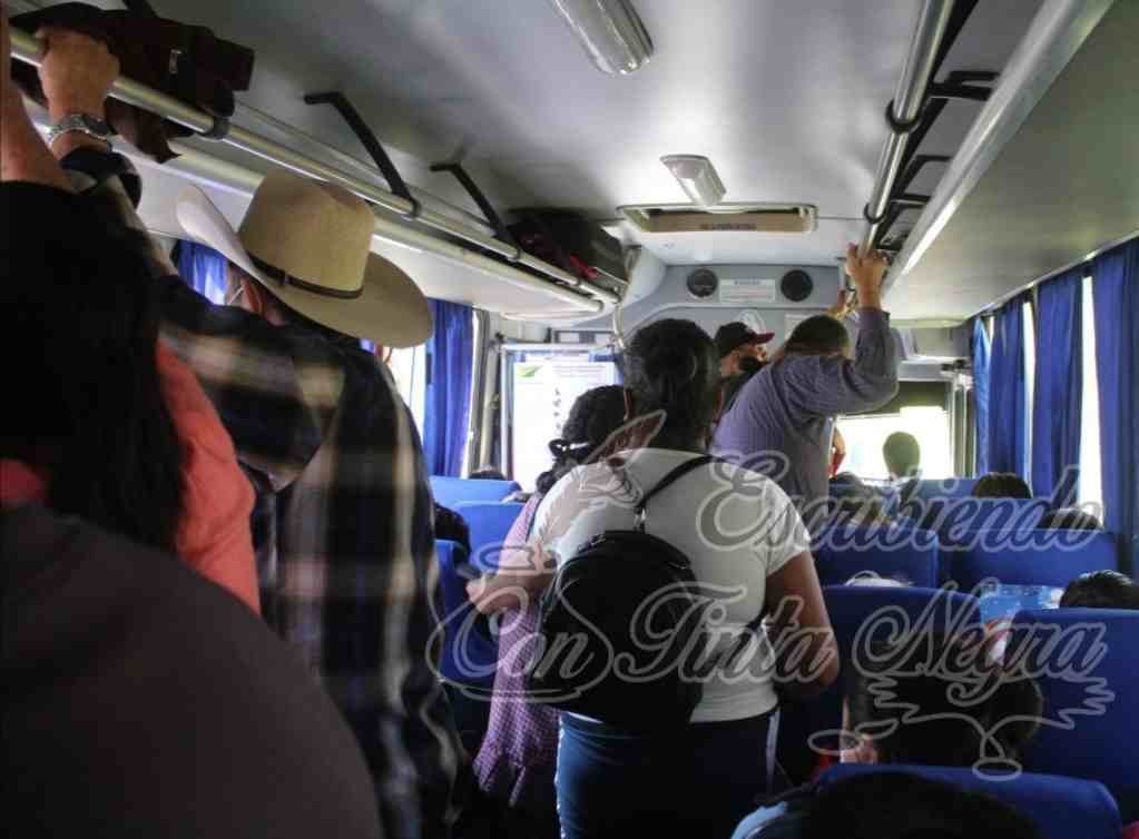 LÍNEA TERRANOVA NO RESPETA ÓRDENES DE TRANSPORTE PÚBLICO