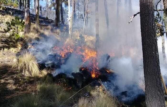 PROTECCIÓN CIVIL, EN ALERTA POR INCENDIOS FORESTALES