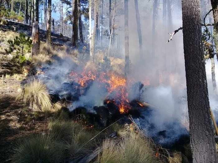PROTECCIÓN CIVIL, EN ALERTA POR INCENDIOS FORESTALES