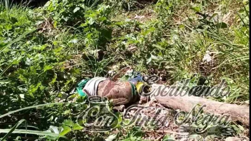 MUERE CAMPESINO AL CAER A BARRANCO