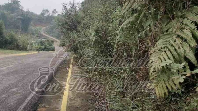 INFRAESTRUCTURA URBANA DE SOCHIAPA, EN EL ABANDONO