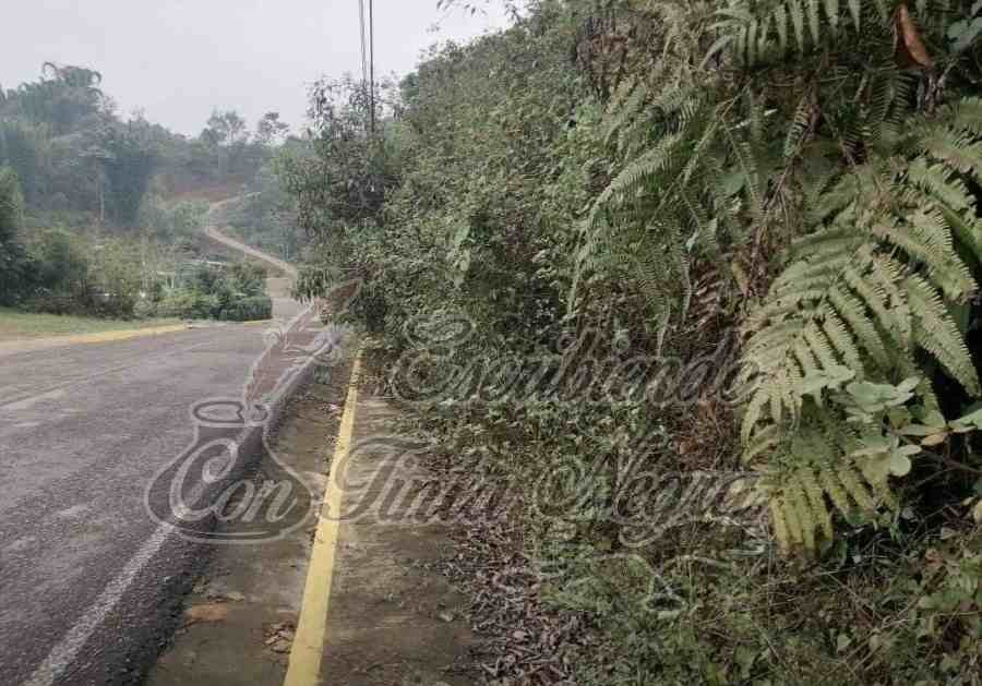 INFRAESTRUCTURA URBANA DE SOCHIAPA, EN EL ABANDONO