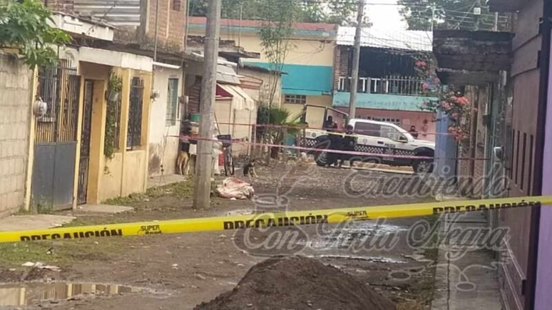 DESCUARTIZADO Y ENCOSTALADO EN NOGALES