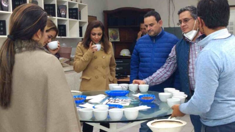 BUSCAN CERTIFICAR MÁS CAFÉ EN IXHUATLÁN