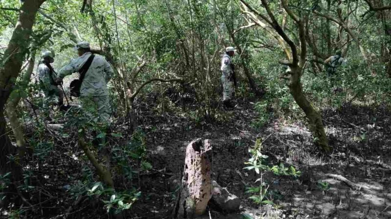 LOCALIZAN MÁS FOSAS EN ALVARADO