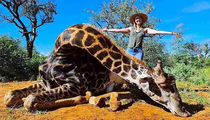 MUJER CAZA A JIRAFA Y POSA CON EL CORAZÓN DEL ANIMAL