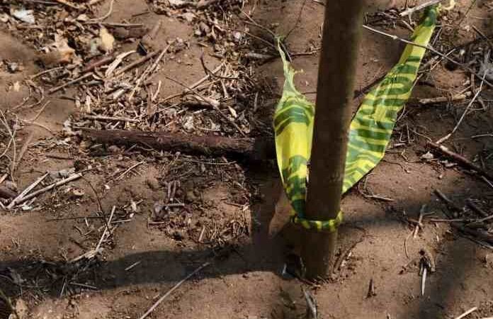 ENCUENTRAN PRIMER CUERPO EN FOSAS DE IXTAC