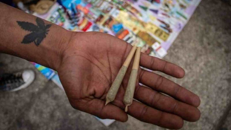 GOBIERNO BUSCA INHIBIR VENTA DE PRODUCTOS CON MARIHUANA AFUERA DEL SENADO