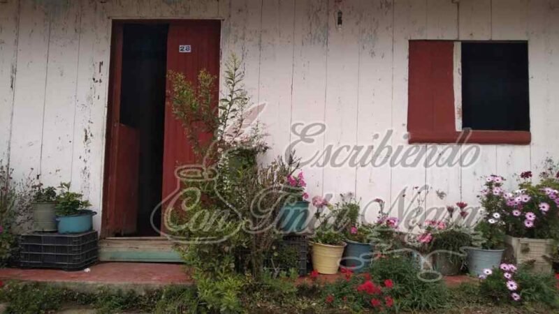 LE ROBAN A MANO ARMADA