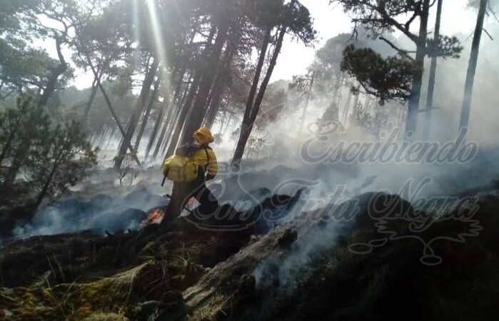 ARRASA INCENDIO CON 50 HECTÁREAS EN EL CITLALTÉPETL
