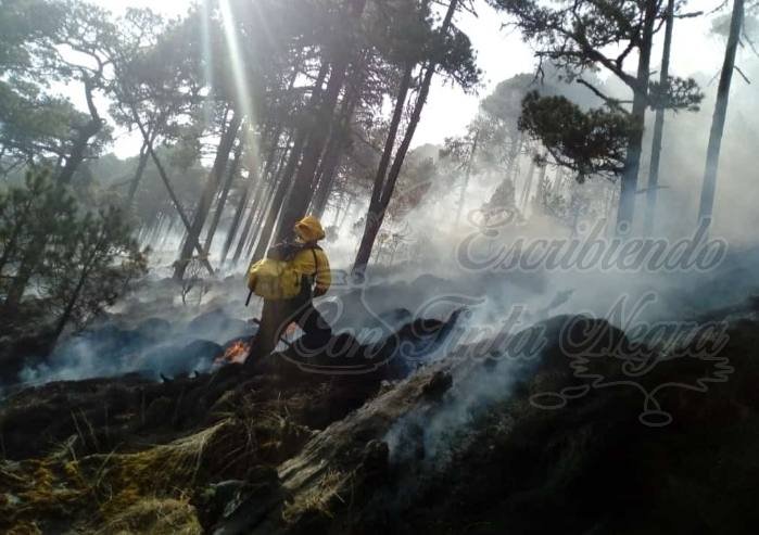 ARRASA INCENDIO CON 50 HECTÁREAS EN EL CITLALTÉPETL