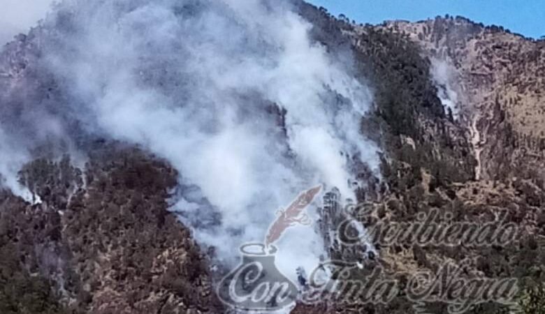 VAN 58 INCENDIOS EN EL ESTADO