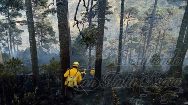 CONTROLAN INCENDIO EN EL PICO DE ORIZABA