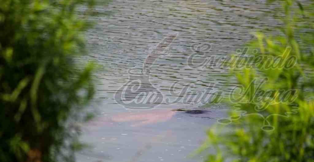 ENCUENTRAN CADAVER EN EL RÍO BOBOS