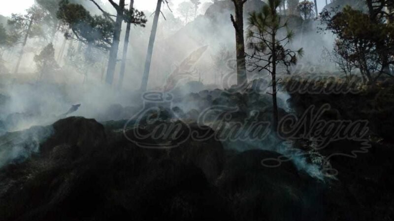 COMBATEN INCENDIO EN EXCOLA