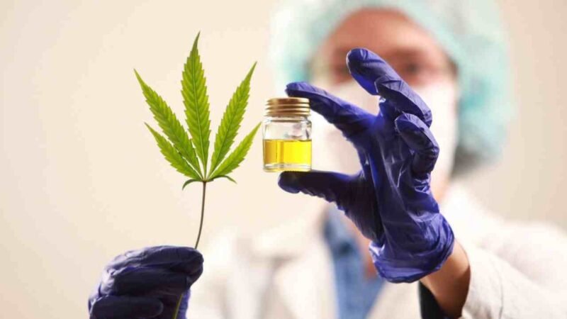 FRANCIA INICIA ENSAYOS CLÍNICOS DE CANNABIS PARA USO MEDICINAL