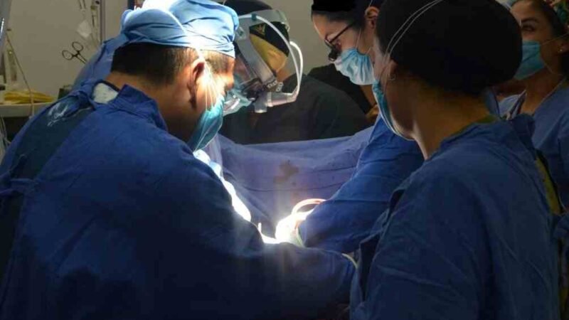 PARADOS, PROGRAMAS DE TRANSPLANTES DE ÓRGANOS