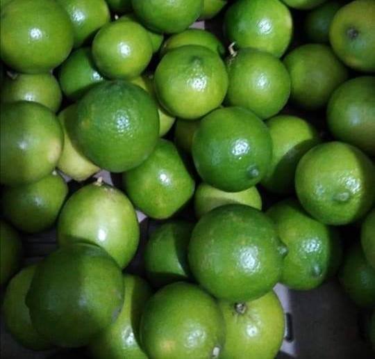 URGE INSTALAR EMPACADORA DE LIMÓN EN LA ZONA DE HUATUSCO