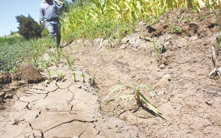 72 MUNICIPIOS DE VERACRUZ ENFRENTAN PROBLEMAS DE SEQUÍA
